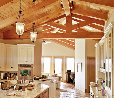 contemporary kitchen with timber trusses